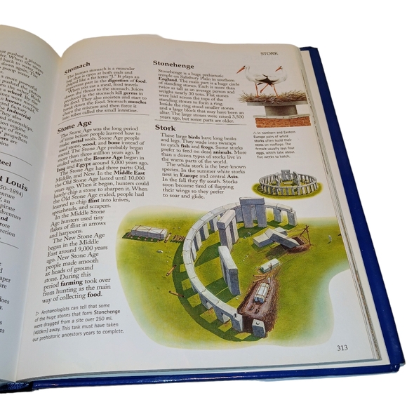 The Kingfisher A-Z Encyclopedia UP-TO-THE-MINUTE Information Book - Picture 9 of 13